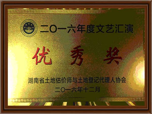 公司荣誉12